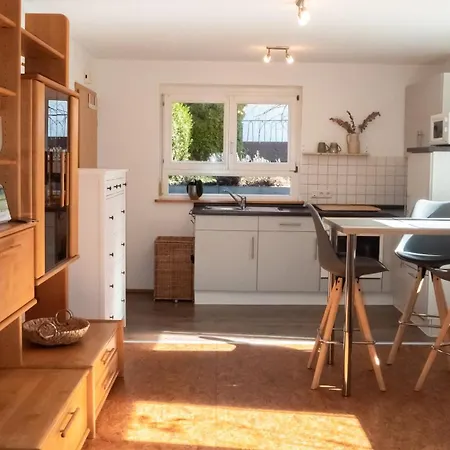 Apartment Rietheim Апартаменты